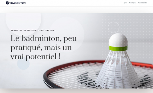 https://www.bad-minton.info